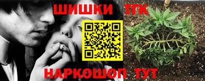 эйфоретик Моздок