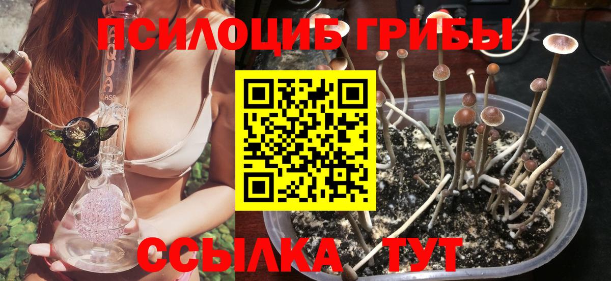 Псилоцибиновые грибы Magic Shrooms Чусовой