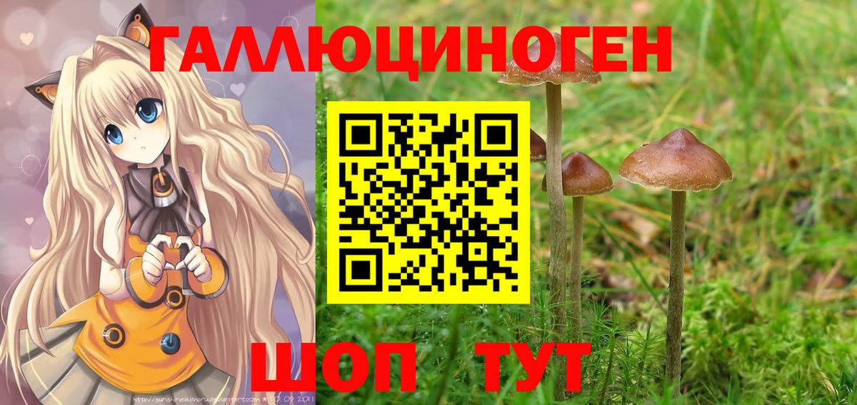 Чусовой  купить наркоту  Вход с VPN  Галлюциногенные грибы Magic Shrooms  Псилоцибиновые грибы GOLDEN TEACHER 